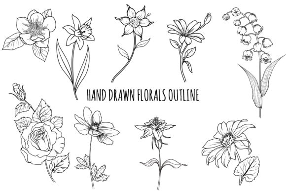 Download Floral Outline Hand Drawn Bundle - Bundle Collection
