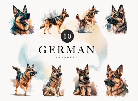 Download 10 German Shepard Watercolor Clip Art - Premium Resources