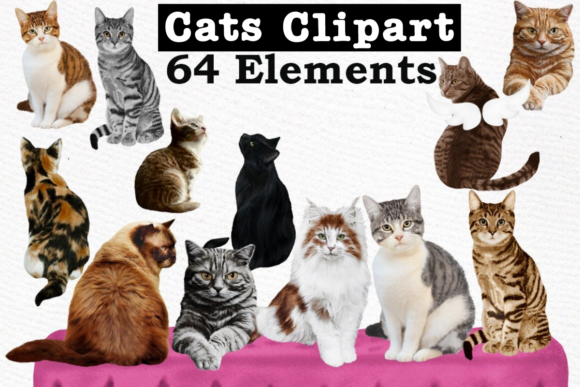 Download Cats Clipart Cat Breeds Cat Bundle - Bundle Collection
